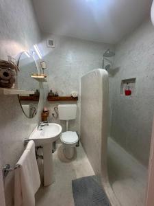 uma casa de banho com um lavatório, um WC e um chuveiro em Boutique Apartments Ibiscus em Santa Maria