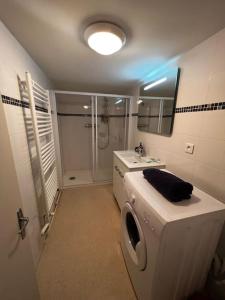 La salle de bains est pourvue d'un lave-linge et d'un lavabo. dans l'établissement appartement avec garage et terrasse, à Bourges