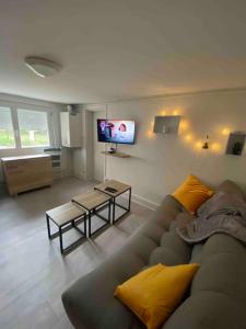 a living room with a couch and a flat screen tv at appartement avec garage et terrasse in Bourges