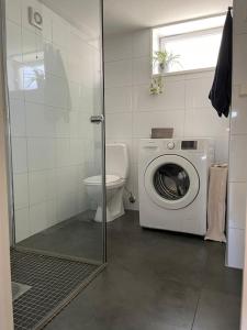 a bathroom with a washing machine and a toilet at Cozy ground floor apartment in nature, by driving 300 metres of gravel road on top of the hill in Lunde