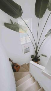 a staircase with a plant and a guitar in a room at Scandi Style Home away from Home In Newquay in Newquay