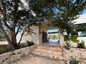 an entrance to a house with a tree at Xbalche eco hotel & RV park 