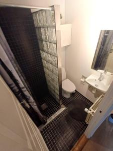 a bathroom with a shower with a toilet and a sink at Elegant Apartment In Central Aalborg in Aalborg