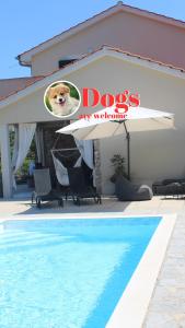 un cane è seduto sotto un ombrellone accanto a una piscina di Villa Lente a Polje
