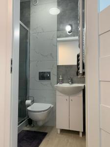 łazienka z toaletą i umywalką w obiekcie Apartamenty Św.Rocha w mieście Białystok