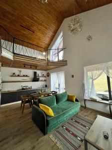 a living room with a green couch and a kitchen at Villa Pelahia in Slavske