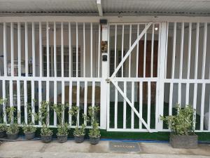 武端的住宿－SOFI Homestay Butuan，前面有盆栽植物的白色门
