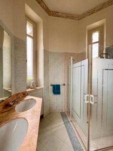 y baño con lavabo y ducha. en Chateau Moncassin, en Leyritz-Moncassin