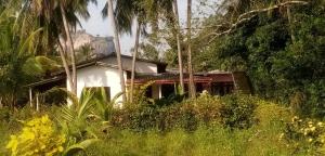 a house in the middle of a field of grass at Tezara Home Stay in Sigiriya