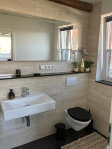 bagno con lavandino, servizi igienici e specchio di Jenszu Ferienwohnung a Balingen