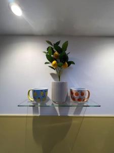 a glass shelf with two cups and a plant on it at Citrus Chalet, modern light and airy! in Redruth