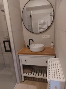 ニーウポールトにあるGelijkvloers vakantie-appartement met groot zonnig terrasの洗面台と鏡のあるバスルーム