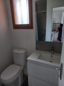 a bathroom with a toilet and a sink and a mirror at CHALET B NATURISTe MAEVA in Le Porge