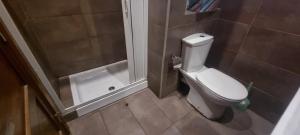 a bathroom with a toilet and a shower at VBH APARTMENT PACEVILLE ST. JULIAN'S in Paceville