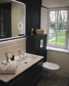 uma casa de banho com um lavatório, um WC e um espelho. em Au bois Noël - Le Cerisier em Lescherolles