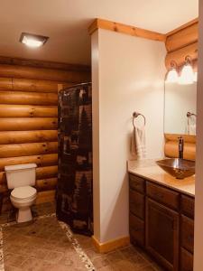 a bathroom with a toilet and a sink at The Forest Edge Cabin in Sigel