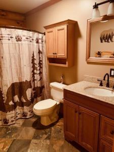 a bathroom with a toilet and a shower curtain at The Forest Edge Cabin in Sigel