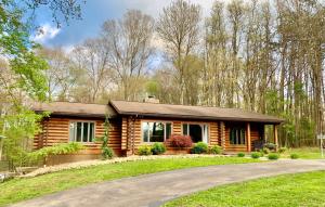 una baita di tronchi nel bosco con vialetto di The Forest Edge Cabin a Sigel