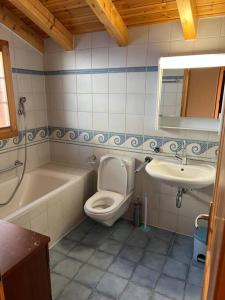 ein Bad mit einem WC und einem Waschbecken in der Unterkunft Chalet Stickie by Swiss Alps Village in Hérémence