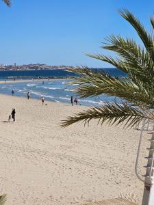 a group of people on a beach with a palm tree at PLAYA POSTIGUET in Alicante