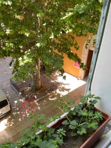Photo de la galerie de l'établissement Cosycocoon La Bastide, à Draguignan