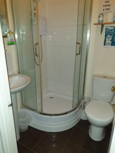 y baño con ducha, aseo y lavamanos. en Homeleigh Apartments- Isle of Wight, en Ryde