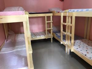 a couple of bunk beds in a room at New Village Lodge in Oslob