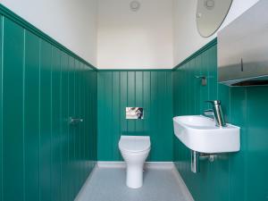 a green bathroom with a toilet and a sink at Cobleland Campsite in Gartmore