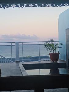 Aux Colibris Amoureux : loft de standing avec vue mer的阳台或露台
