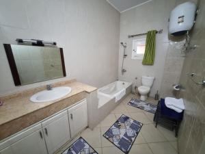 盧克索的住宿－Abo Hisham Nile Flat，一间带水槽、浴缸和卫生间的浴室