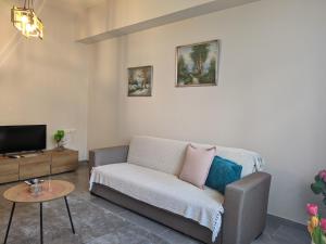 a living room with a couch and a tv at Aristo Central Apartments in Ioannina