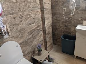 a bathroom with a toilet and a sink at Aristo Central Apartments in Ioannina