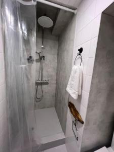 馬夫拉的住宿－Casa da Vila - Vila de Mafra，带淋浴的浴室和玻璃门