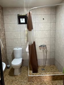 a bathroom with a toilet and a shower at Jelini Villa in Dilijan +18 photos