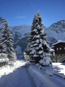 une route enneigée avec des arbres enneigés sur une montagne dans l'établissement Beau 3 pièces avec vue Montana 4, à Pralognan-la-Vanoise