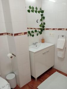 een witte badkamer met een wastafel en een toilet bij Cabrales Sol in Carreña de Cabrales 