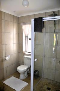 ein Bad mit einem WC, einem Fenster und einer Dusche in der Unterkunft The Beach Cottage Betty's Bay in Bettyʼs Bay + 24 Fotos