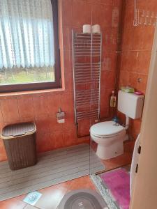 a small bathroom with a toilet and a window at Villa Artemida apartman in Kulen Vakuf