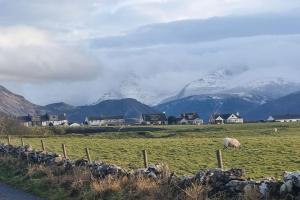 a sheep grazing in a field with mountains in the background at Luxury Lake District Retreat above Ennerdale in Kirkland