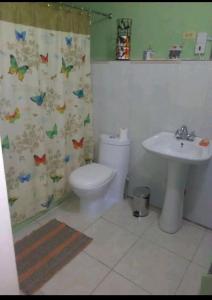 金斯敦的住宿－Mountain View，一间带卫生间和水槽的浴室