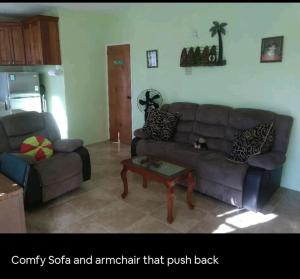 sala de estar con sofá y mesa de centro en Mountain View, en Kingston