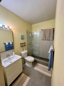 a bathroom with a toilet and a sink and a shower at Sea-Renity Hideaway (Studio Apt) in Woods