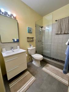 a bathroom with a toilet and a sink and a shower at Sea-Renity Hideaway (Studio Apt) in Woods