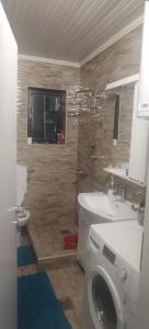 een badkamer met douche en wasmachine bij Apartman Lazovic in Arilje