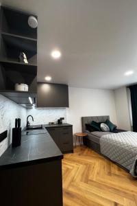 eine Küche und ein Wohnzimmer mit einem Bett in einem Zimmer in der Unterkunft Hygge Apartments in Druskininkai
