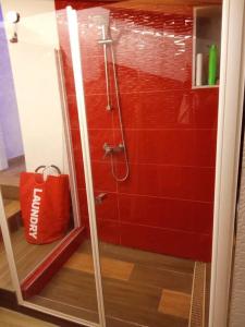 baño con ducha con pared roja en Espectacular loft dúplex, en Ayora