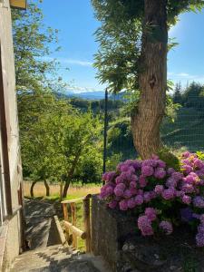 banda fioletowych kwiatów przed drzewem w obiekcie Casa di campagna w mieście Marola