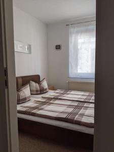 um quarto com uma cama grande e uma janela em Ferienwohnung Am Ueckerpark em Ueckermünde