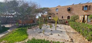 a garden with plants in front of a building at Riad Golden Baibah in Zaouia Akermoud