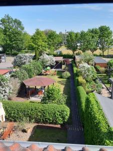 eine Luftblick auf einen Garten mit Büschen und Bäumen in der Unterkunft Ferienwohnung Am Ueckerpark in Ueckermünde